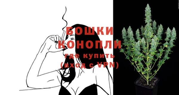 мдпв Верея