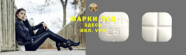 мдпв Верея