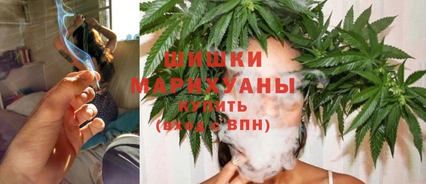 индика Михайловск