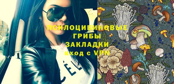 мдпв Верея