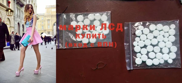 spice Бородино