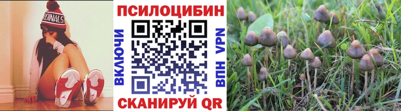 Псилоцибиновые грибы мицелий  Купить  Красный Кут 