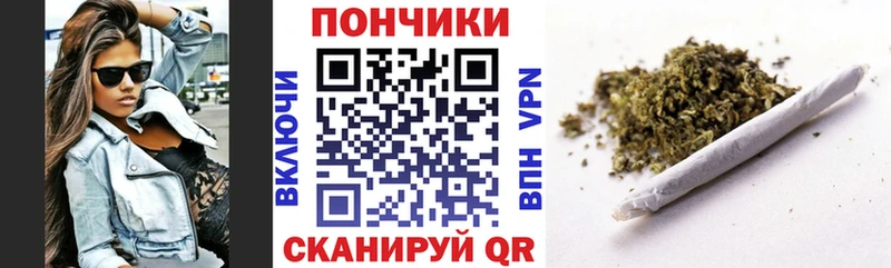 Купить закладки  Красный Кут  Конопля ГИДРОПОН 
